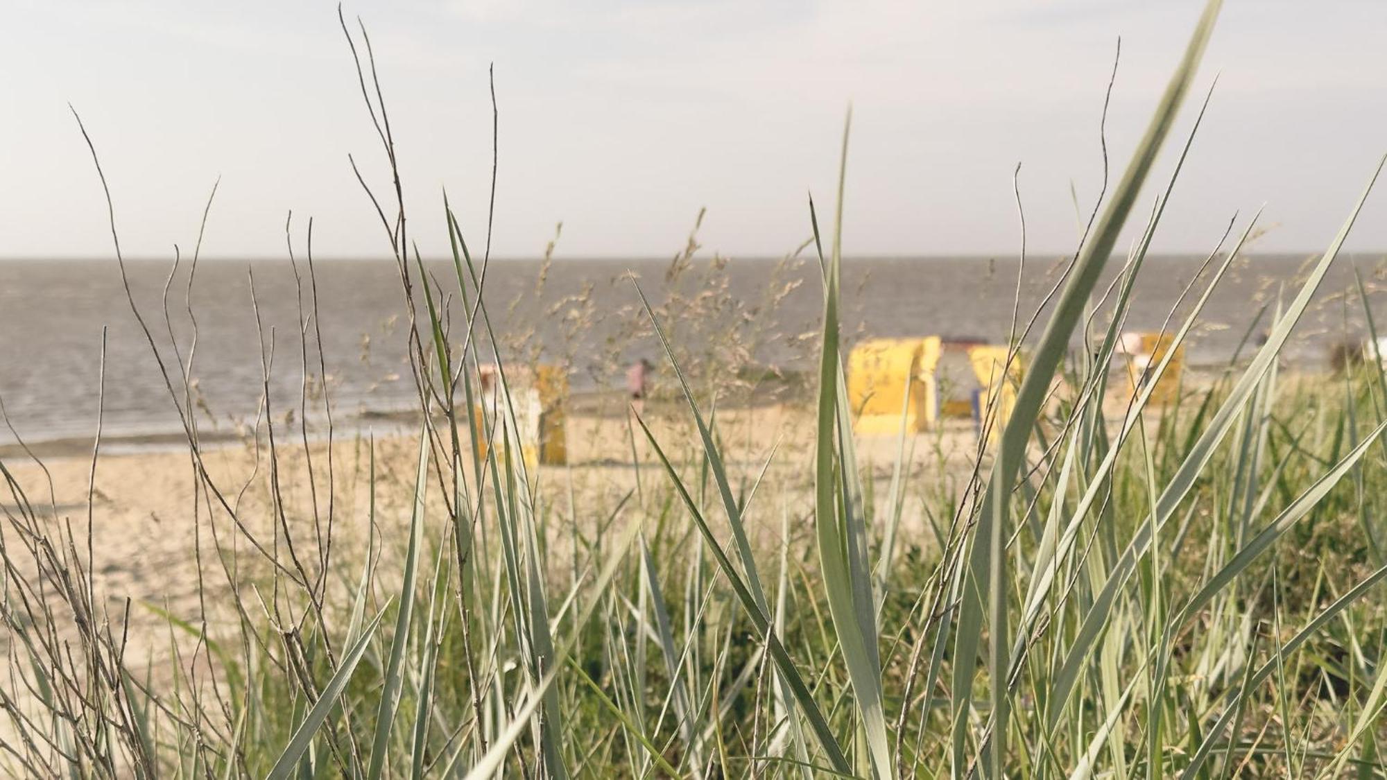 Strandnahe Haus Sonneneck 1 Cuxhaven